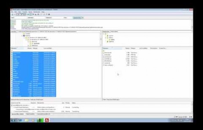 Video 5